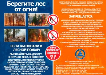Берегите лес от огня!