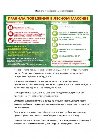 Правила поведения в лесном массиве.